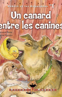 Un canard entre les canines