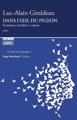 Dans l'oeil du pigeon