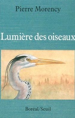 Lumière des oiseaux